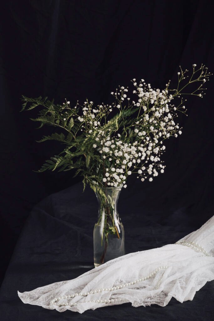 Gypsophila